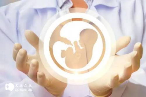 2023隨州中心醫院試管嬰兒全方位指南，附助孕成功率預估